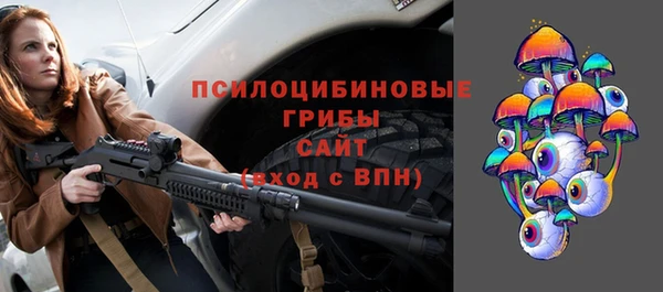 ГАЛЛЮЦИНОГЕННЫЕ ГРИБЫ Абаза