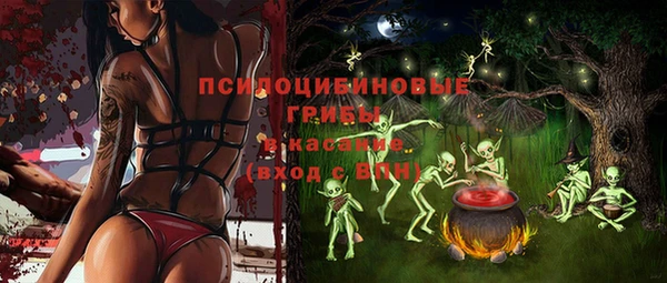 ГАЛЛЮЦИНОГЕННЫЕ ГРИБЫ Абаза