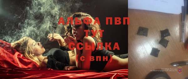 ГАЛЛЮЦИНОГЕННЫЕ ГРИБЫ Абаза