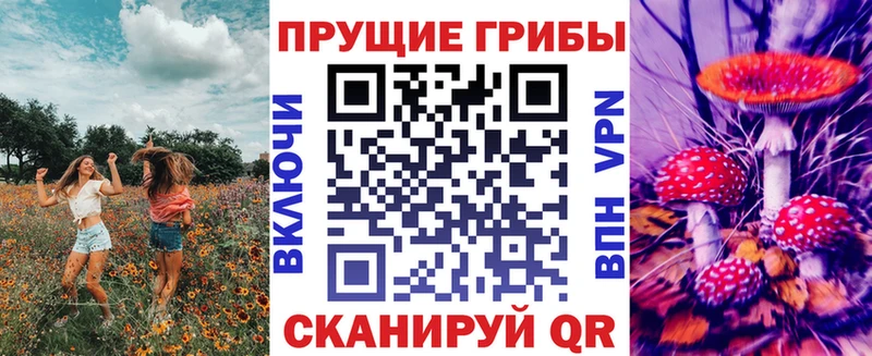 Галлюциногенные грибы GOLDEN TEACHER  где можно купить   Елизаветинская 