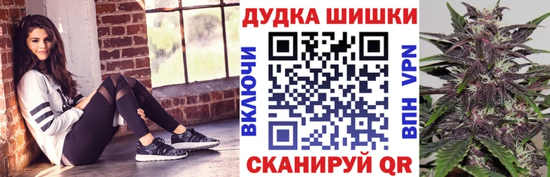 Бошки марихуана планчик  наркота  ссылка на мегу зеркало  Елизаветинская 